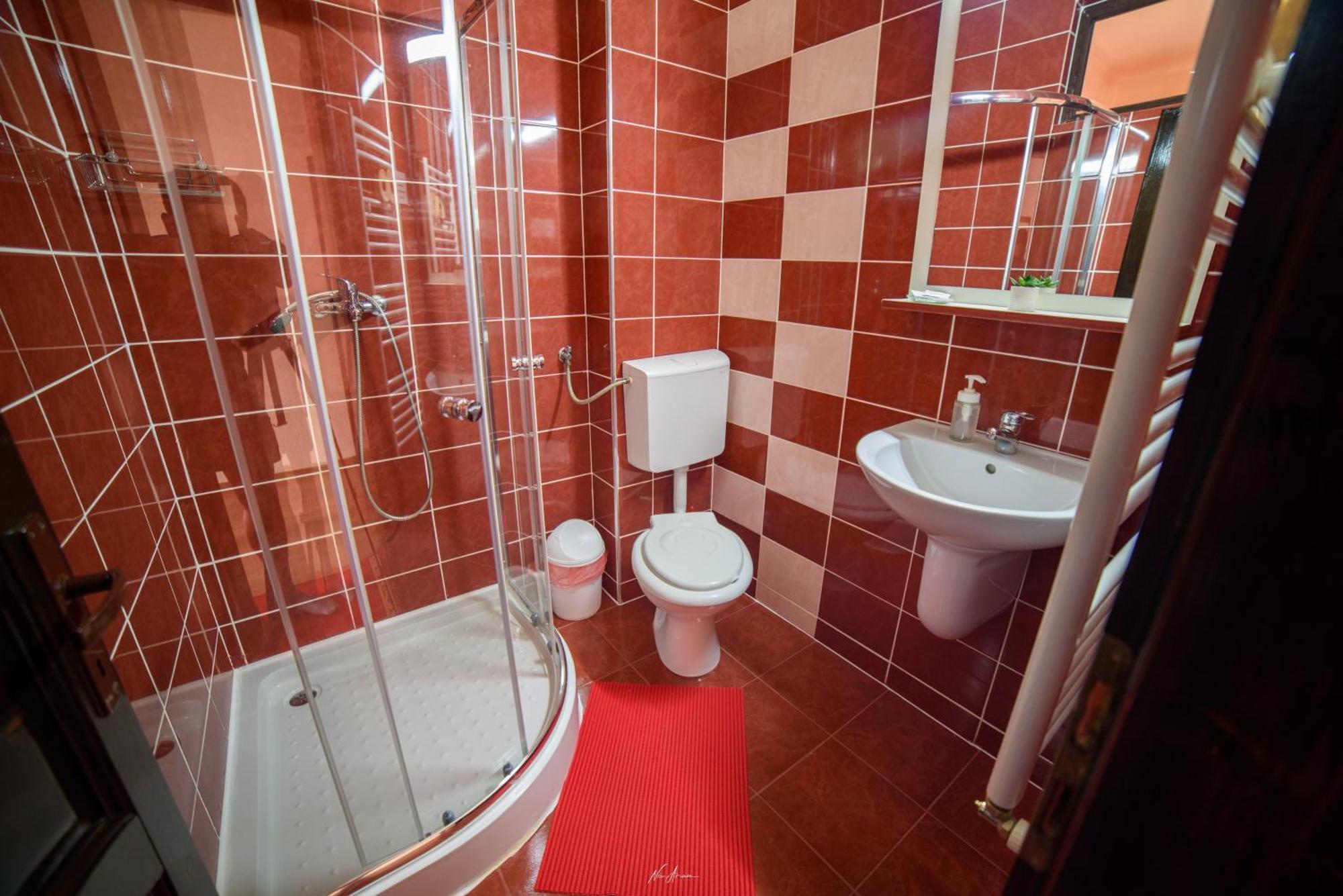 הוילה אריסני Casa Alina מראה חיצוני תמונה