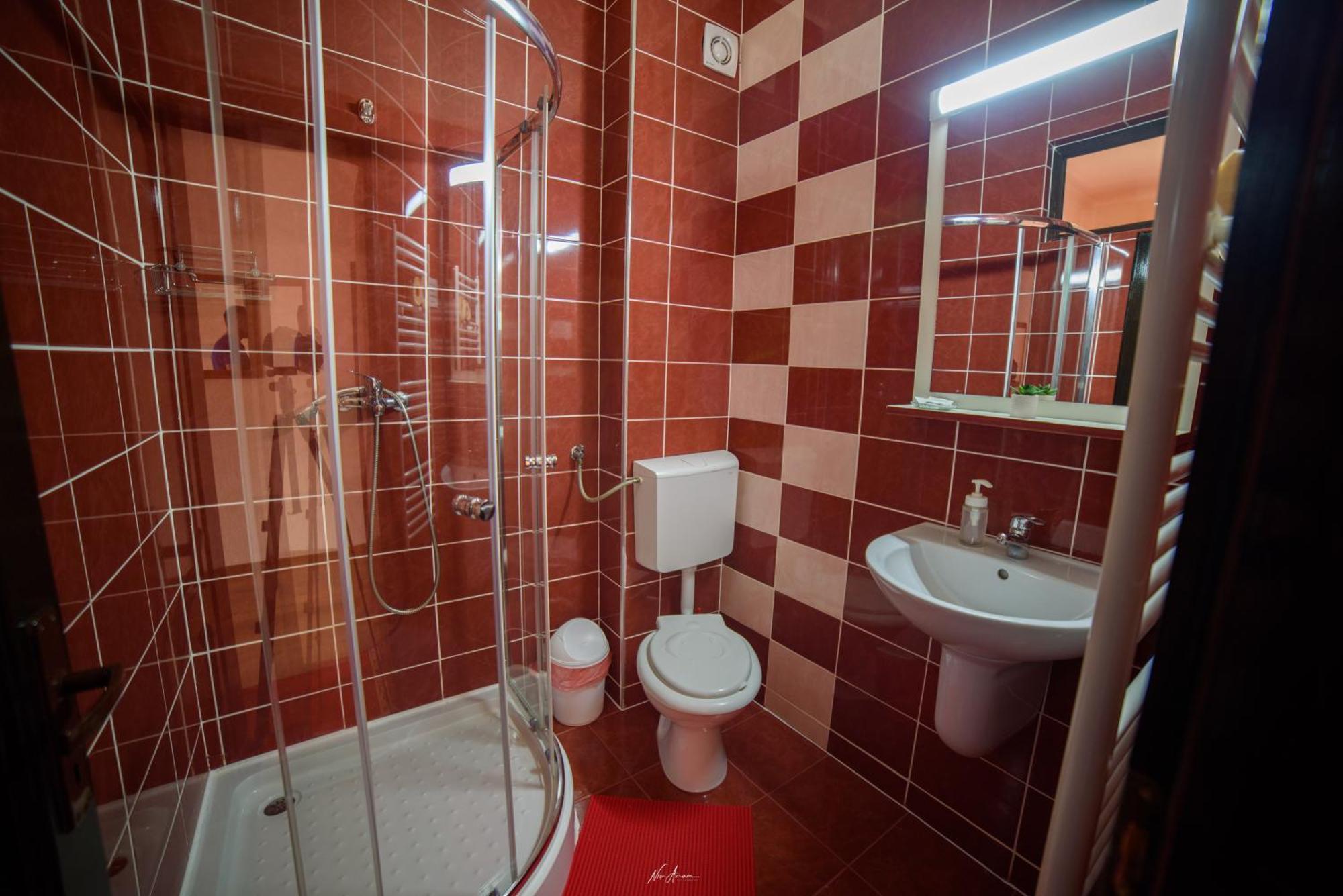 הוילה אריסני Casa Alina מראה חיצוני תמונה