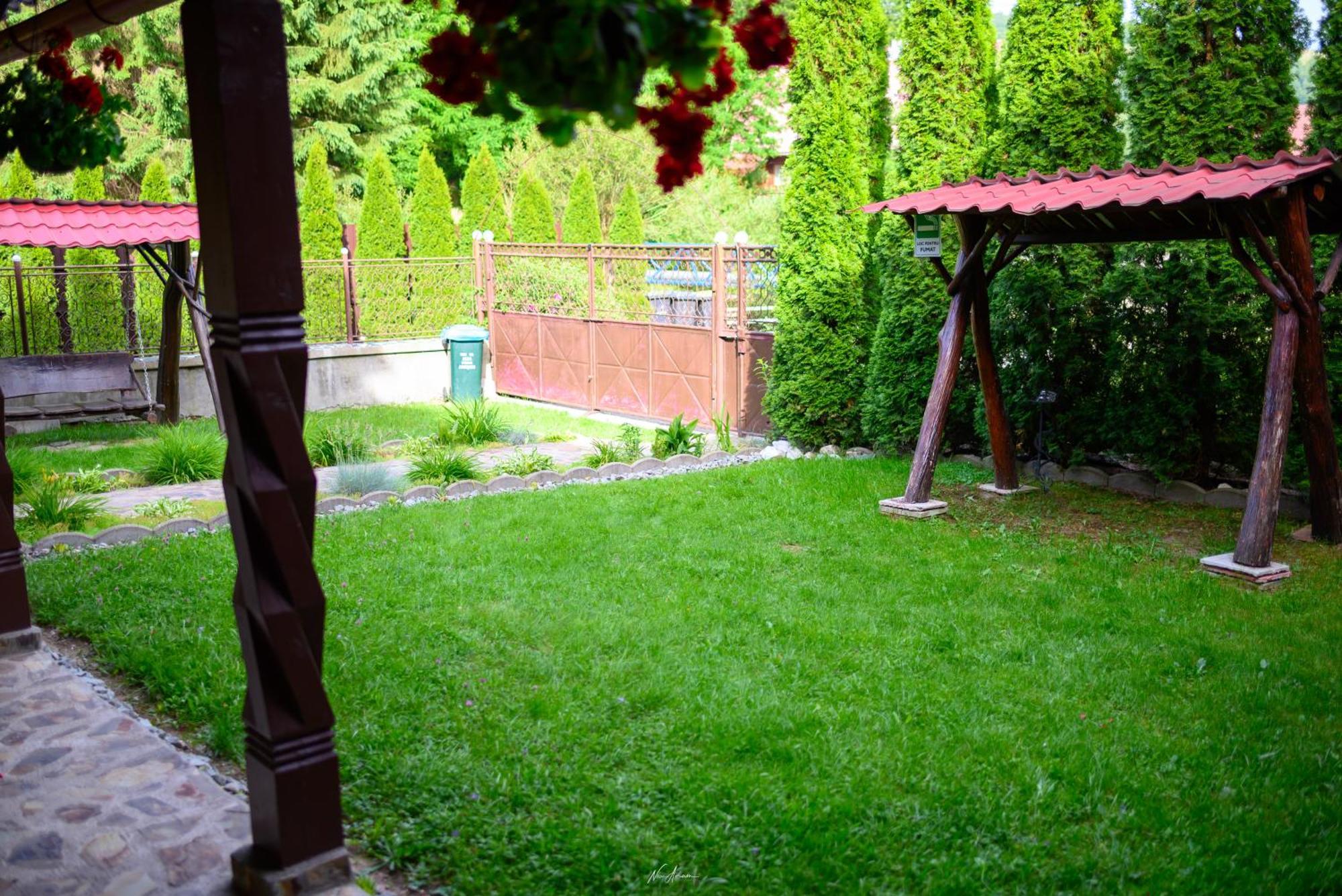 הוילה אריסני Casa Alina מראה חיצוני תמונה